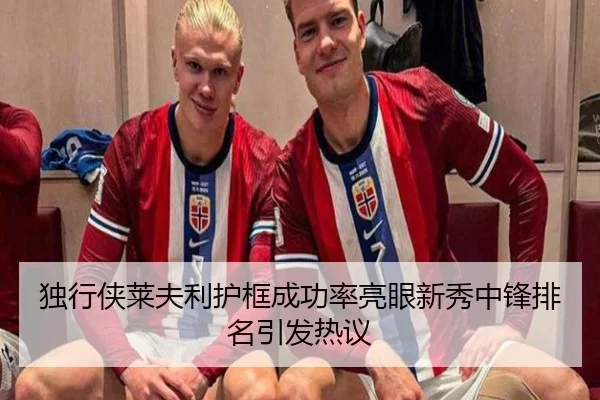 独行侠莱夫利护框成功率亮眼新秀中锋排名引发热议